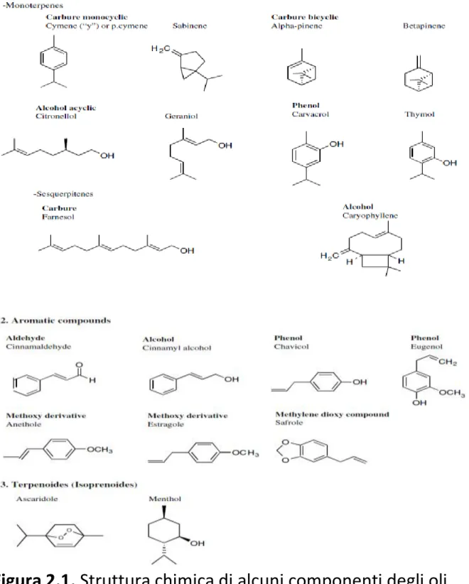 Figura 2.1. Struttura chimica di alcuni componenti degli oli     essenziali. Immagine tratta da Bakkali et al., 2008