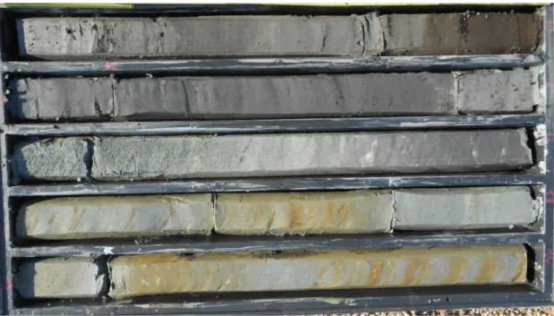 Fig. 11. Example of a newly-drilled core recovered during this study (core length 1 m).