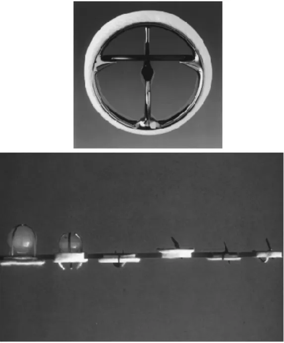 Figura 3-4.  Le protesi “a basso profilo” semplificano la tecnica d’impianto. Il profillo più basso è  quello  della  valvola  bicuspidale  e  l'orientamento  dei  lembi  spesso  non  è  necessario,  rispetto  a  protesi  a  disco  per  la  quale  l'orifiz