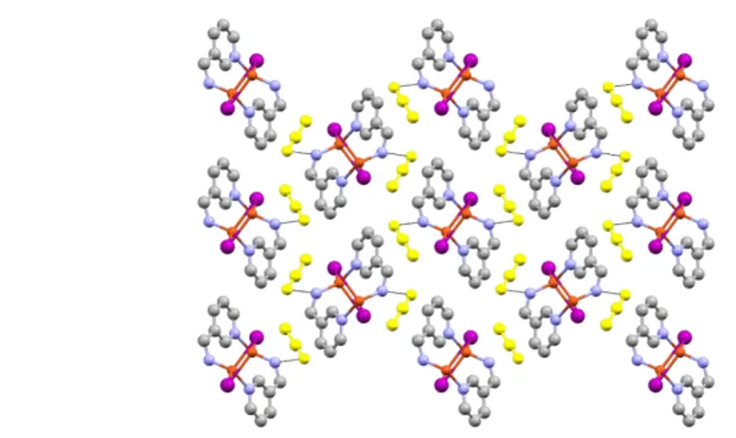 Fig. 4: solvent molecules (yellow) and amino group interactions (black lines). 