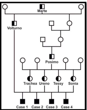 Figura 7-  Albero genealogico dei primi quattro casi. I maschi sono rappresentati dai quadrati, le femmine  dai  cerchi