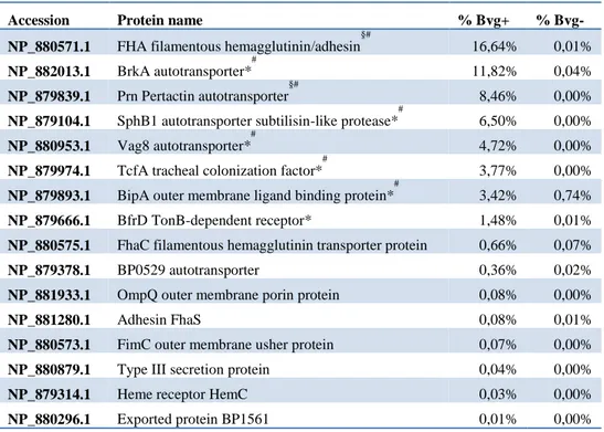 Table  3.  OMV-based  antigen  selection.  Antigens  were  selected  from  the  total  proteins  quantified  in  OMV based on the following criteria: Bvg regulation, localization prediction and abundance