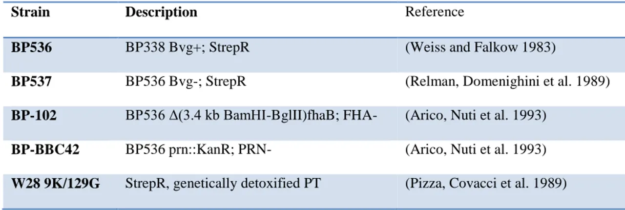 Table 5. Bordetella strains used in this study. 