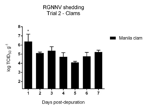 Fig.  4.  Graph  represents  the  log  TCID 50   g -1   of  RGNNV  in  clam  hepatopancreas  samples