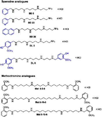 FIGURE 1. PA analogues. In blue the structural components of the molecules different from those  of spermine 