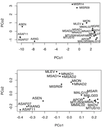 Figure	3a 	Left	side	-	Plot	of	the	PCoA	carried	out	on	COI	haplotype	genetic	distance	 matrix	over	all	geographical	and	temporal	samples	of	the	Raja	miraletus	species	 complex.	 Figure	3b  	Right	side	-	Plot	of	the	the	PCoA	carried	out	on	genotypic	EST-SSR