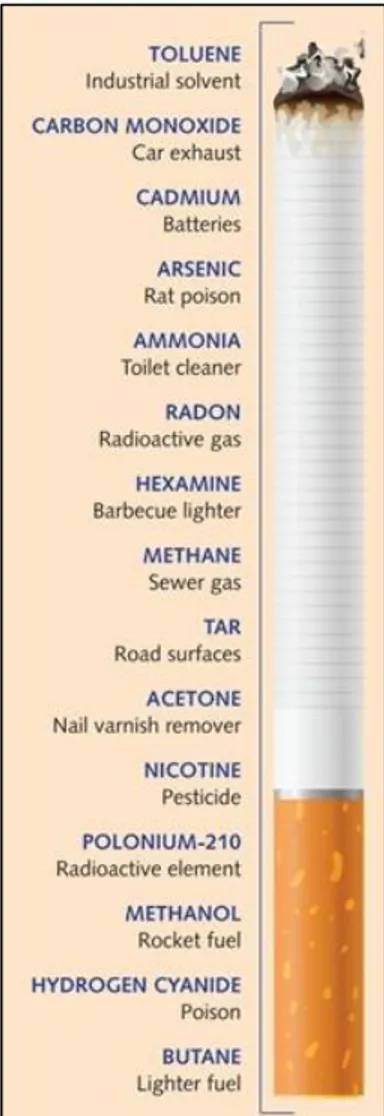 Figure 2. Some of the most common ingredients found in cigarettes (modified  from 