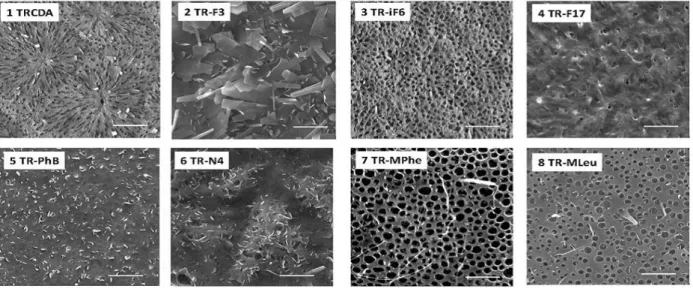 Figure 9. Scanning electron microscopy (SEM) of PMMA-supported diacetylene films. The films comprised the  indicated derivatives and the TRCDA (1) monomer at 1 : 1 mole ratio