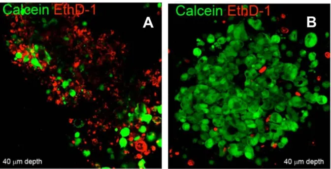 Figure 3. Analysis of cell death on irradiated tumor microtissues. Representative 3D rendering of superimposed 