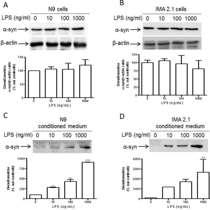 Fig  17.1.  Effect  of  lypopolyshaccharide  (LPS)  on  α-synuclein  release  by  microglia  and astrocytes