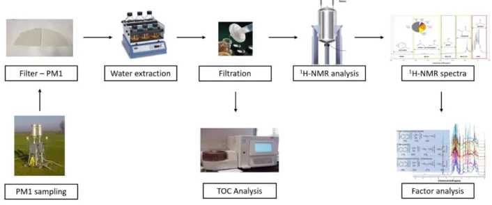 Figure 2.2. Scheme of the analytical protocol deployed to characterize aerosol PM1 samples.