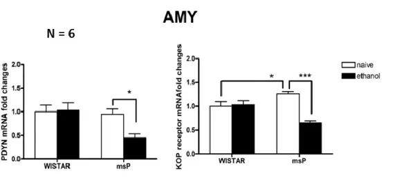 Figure  13.  PDYN  and  KOP  receptor  gene  expression  in  the  BNST.  The  PDYN  and  KOP  receptor  mRNA  levels  were  assessed  in  the  BNST  using  Real-Time  qPCR  analysis  compared  to  GAPDH