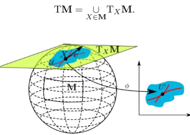 Figure 1.2: The tangent space of a sphere.