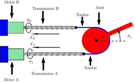 Fig. 4.1 Schematic representation of the rotative joint with two twisted string transmis- transmis-sion systems.