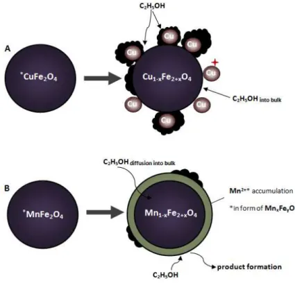 Figure 4-14. Schematic representation of C 2 H 5 OH-reduction over: A-CuFe 2 O 4 , as “nucleation/autocatalytic” model and B- B-MnFe 2 O 4 , as an “egg-shell” model
