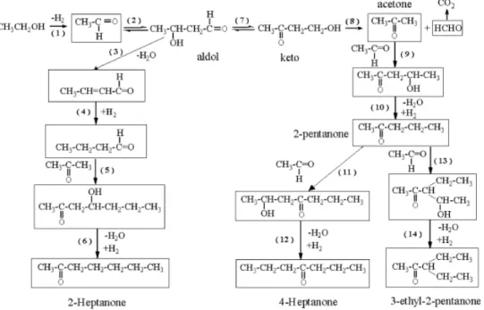 Figure 4-18. General scheme of pentanones/heptanones formation starting from ethanol 128