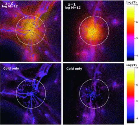 Figure 1.7: Temperature snapshots of a cosmological ΛCDM simulation of a Milky Way galaxy from (Kereˇ s et al., 2009)