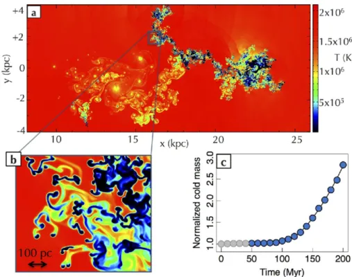 Figure 2.3: Hydrodynamical simulations of a galactic fountain cloud travelling through the Galactic corona