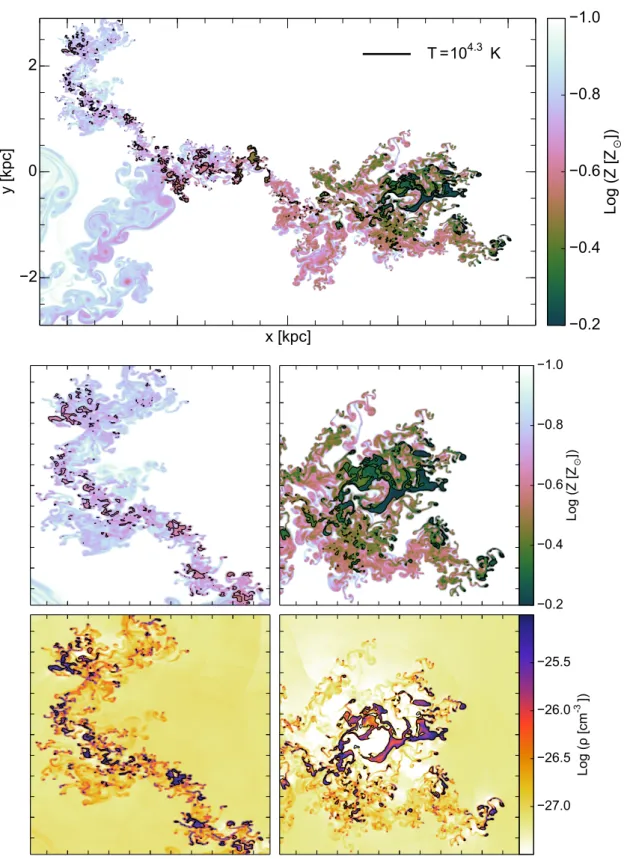 Figure 2.7: Top panel : Metallicity distribution on grid of our fiducial simulation after 175 Myr