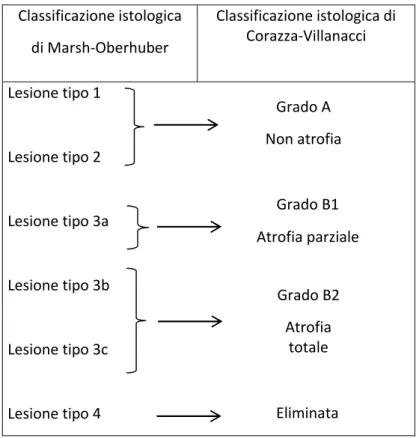 Tabella 6 Confronto fra le 2 classificazioni per la biopsia duodenale 