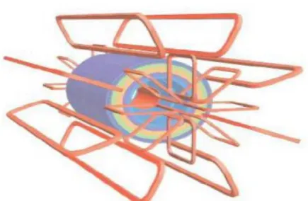 Figure 9: Scheme of the Barrel Toroids and End-Cap Toroid  magnets (red). The blue cylinder is the calorimeter.