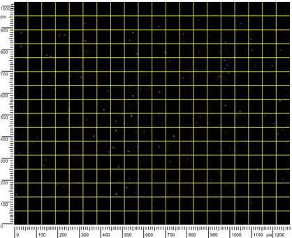 Figure 2.10: Grid made up by the interrogation cells.