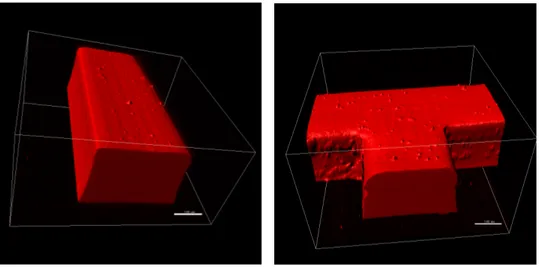 Figure 2.23: Reconstruction of the three-dimensional shape of the fluorescent fluid.