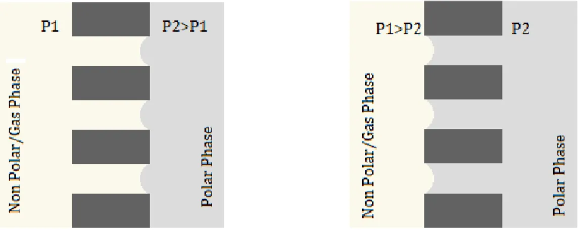 Figure  2.1  Interface  of  the  non-wetting  liquid  and  the  wetting  liquid  for  the  hydrophobic  membrane  (left)  and  hydrophilic membrane (right) 