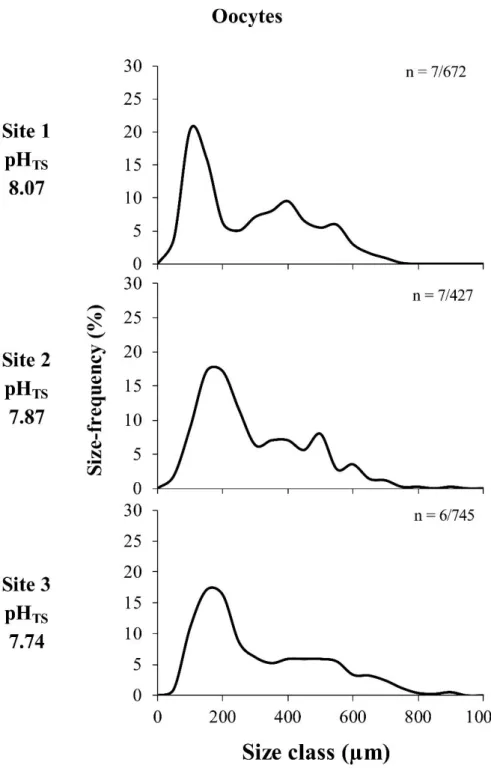 Figure 2. Oocyte size/frequency distribution in the three Sites. N = number polyps/number oocytes 