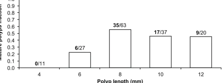 Fig 2. Fraction of sexually mature individuals per size class (mm). Fraction of sexually mature individuals per size class in millimeters, collected at Elba Isle