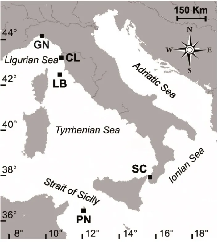 Figure 2. Map of the Italian coastline indicating the sites where corals were collected