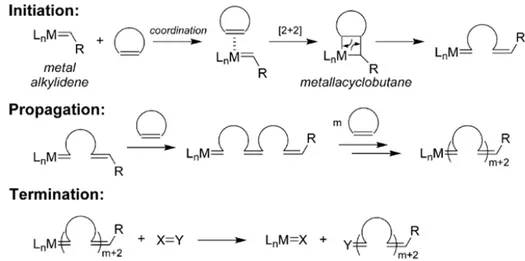 Figure  2.5: Schematic representation of a general mechanism of a typical ROMP  reaction