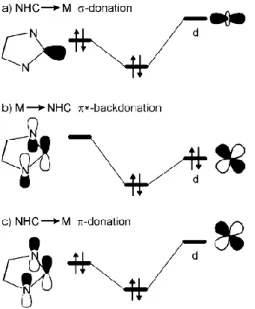 Figure 1.4. Diagram illustrates the σ→ d (a), the d →π* (b), and the π→ d (c) bonding modes occurring between NHCs  and transition metals