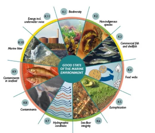 Figure 1. Qualitative descriptors describing environmental status under MSFD. Adapted  from “State of the Baltic Sea” 