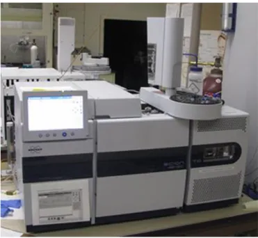 Figure 15. Gas chromatograph coupled to triple quadrupole mass detector  (GC/MS/MS). 