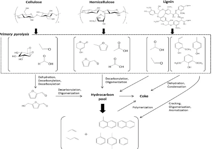 Figure 1.5.1: Reaction pathway for catalytic pyrolysis of lignocellulosic biomass over HZSM-5 [53] 