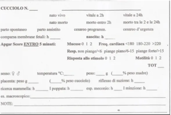 Fig. 7.3 Strumenti per la valutazione clinica dei cuccioli. 