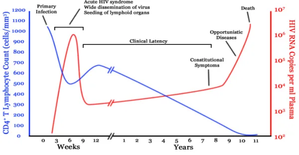 Figura 7: Evoluzione clinica dell’infezione da HIV. 