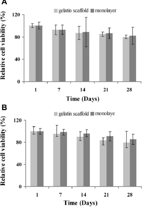 Figura 8.1 Vitalità delle cellule trattate con (A) and senza (B) terreno condrogenico per 1, 7, 14,  21, e 28 giorni su gelatina/GNP o in monostrato