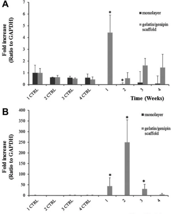 Figura 8.4. Analisi dell’espressione genica di A: Sox9 e B: ACAN. L’espressione dei marker è  stata  calcolata  come  valore  relativo  rispetto  all’espressione  delle  hADSC  seminate  in  monolayer  dopo  una  settimana  di  coltura  e  normalizzate  su