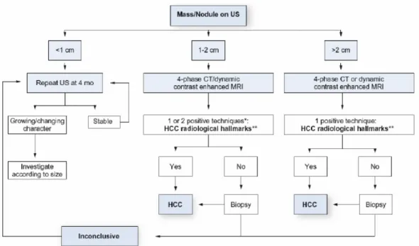 Fig. 3 Algoritmo diagnostico di un nodulo riscontrato durante il programma di sorveglianza in  un paziente cirrotico o portatore di infezione cronica da HBV [39]