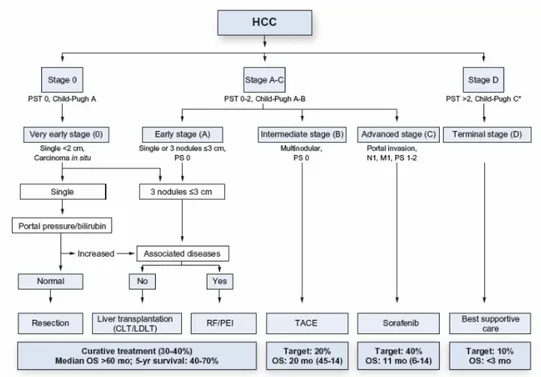 Fig. 4  Staging e trattamento in pazienti con HCC, secondo la stadiazione BCLC [39]. 