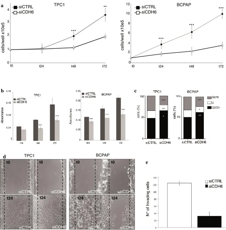 Figure 12. a. Cell proliferation assay in siCTRL and siCDH6 TPC1 and BCPap cell lines