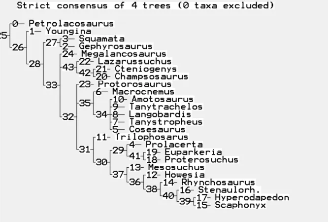 fig. 4.8 Strict consensus tree costruito sull'insieme dei quattro cladogrammi ottenuti dalla matrice  di Dilkes modificata e includendovi i Drepanosauridae
