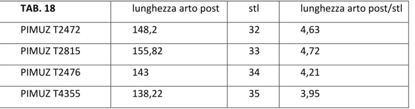 TAB. 18  lunghezza arto post  stl  lunghezza arto post/stl 