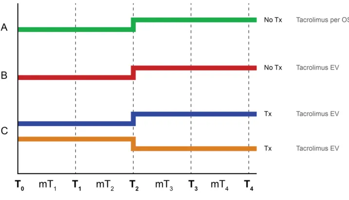 Figure 6 – Study design. Every group follow a therapeutic doses for the first two weeks