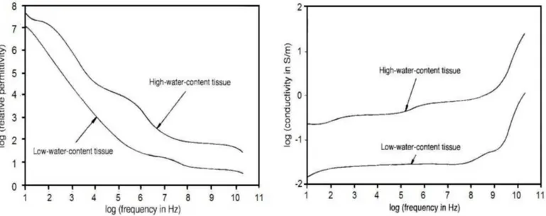 Figure 3.4: Comparison between high water content and low water content of relative permittivity (left) and conductivity (right) versus frequency obtained by Gabriel.
