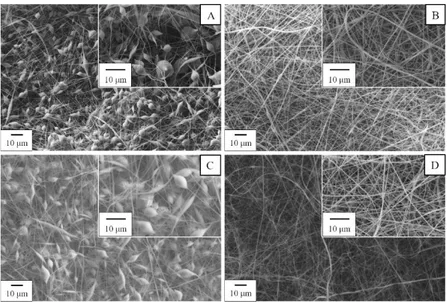 Figure 5.5 SEM images of electrospun samples: (A) control mat obtained  without plasma treatment of the electrospinning solution (control), (B) fibers  obtained  from  a  pre-treated  solution  (pre-treatment),  (C)  control  mat   treated  with  nanopulse