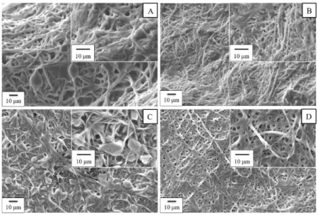 Figure 5.6 SEM images of electrospun samples soaked in electrolyte: (A)  control,  (B)  pre-treatment,  (C)  post-treatment,  (D)  pre&amp;post-treatment