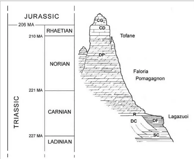 Fig. 26: Stratigraphic sequence outcropping in the Cortina d’Ampezzo, valley (modified after  Bosellini 1996)